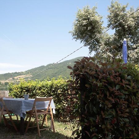 Appartamento Casa dell'astrofilo Londa Esterno foto